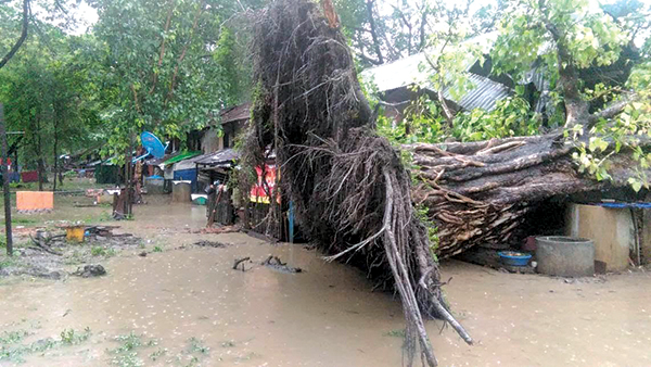နတ္တလင္းႏွင့္ ေပါင္းတည္တြင္ သစ္ပင္ပိၿပီး ႏွစ္ဦးေသ